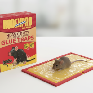 Rodent Glue Trap