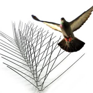 Anti bird spikes installed on building ledge to prevent pigeons